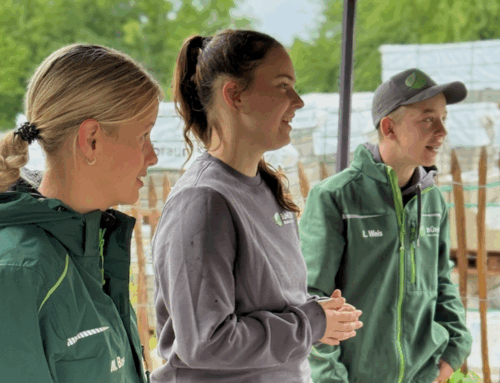 Schritte für eine gute Azubiauswahl – Praxisbeispiel